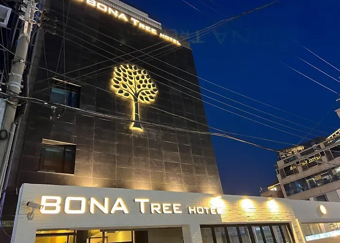 Bonatree Busan